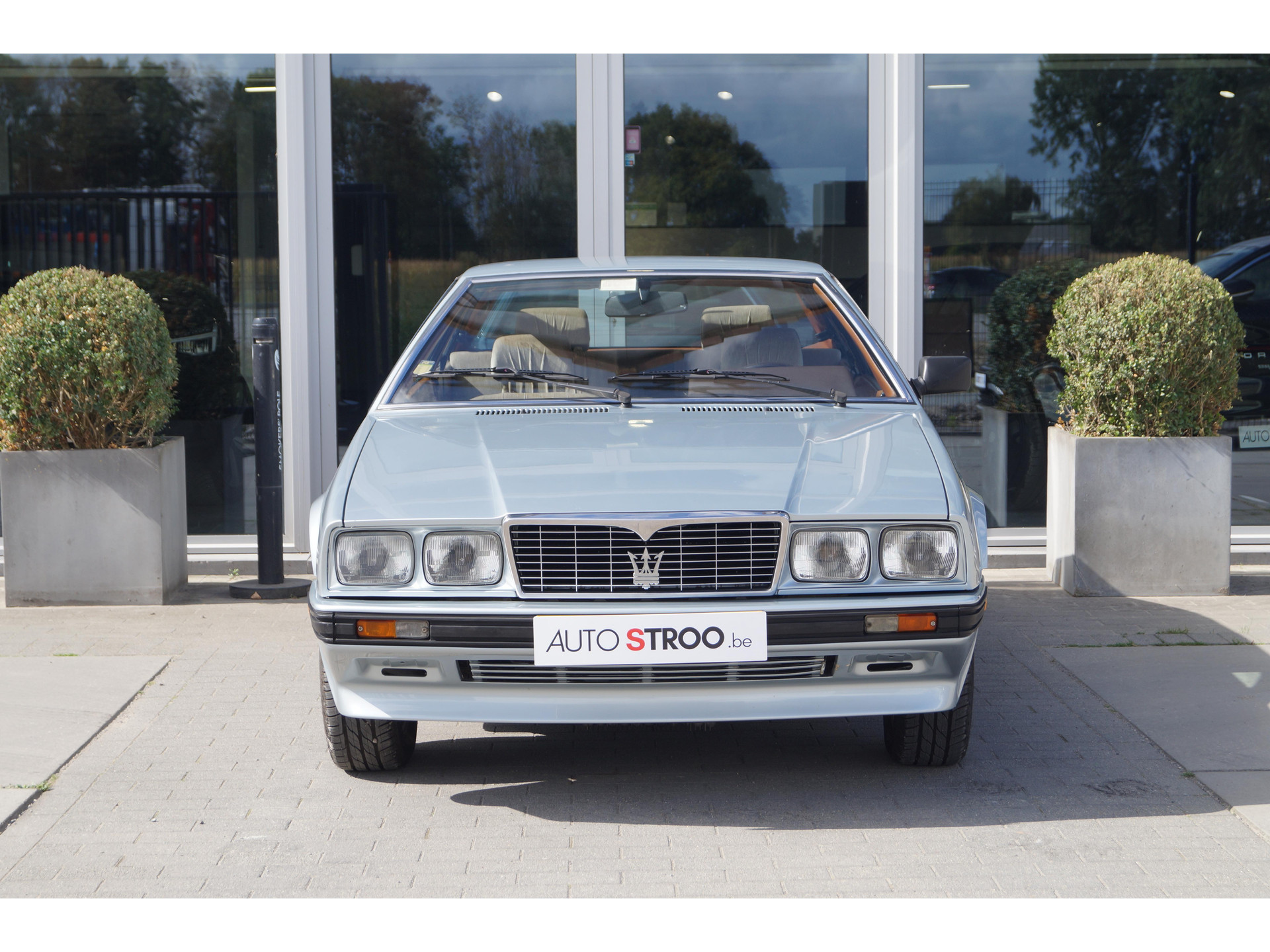 47941274-3.jpg